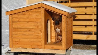 Домик для собаки с крыльцом. Цена 8.200руб. (Бытовки бани в СПб_ Домик для собаки с крыльцом. Цена 8.200руб. (Бытовки бани в СПб_