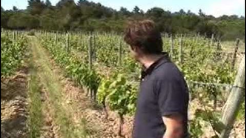 Meet Benjamin Darnault