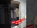 комар комар