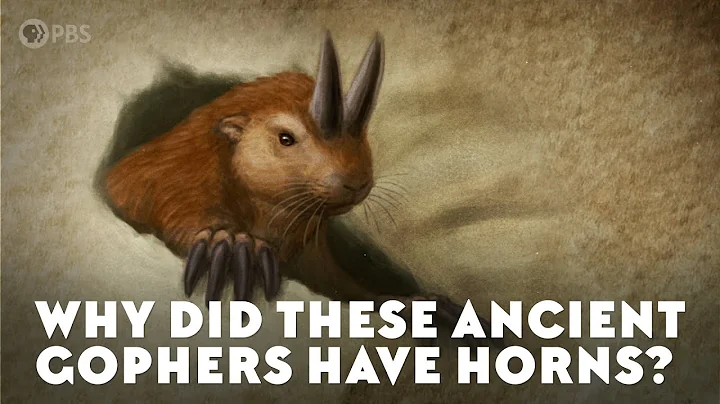 Why Did These Ancient Gophers Have Horns? - DayDayNews