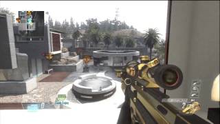Celebrity Insane Spawn Shot!! (BO2) Profile