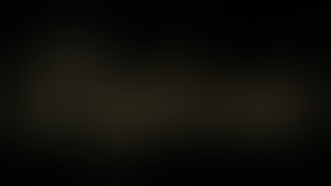 Wismilak Diplomat - Prepare