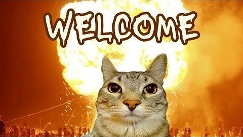 Ma première vidéo ( le début d