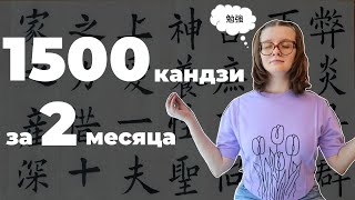видео: 42. Выучила 1500 кандзи за 2 месяца😲😲😲 еще раз про метод KanjiDamage картинка: 42. Выучила 1500 кандзи за 2 месяца😲😲😲 еще раз про метод KanjiDamage