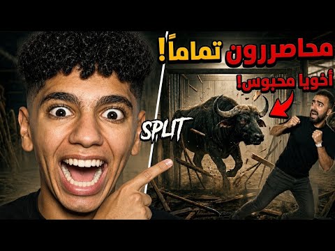 اخويا اتحبس مع اخطر عجول في مصر 🦬 🤕 شوفو الي حصل 🤣 😱