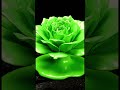Volt Green Bloom 🍏 #satisfying #mesmerizing #oddlysatisfying