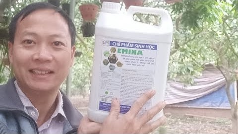 Làm Thế Nào Khử Mùi Hôi Chuồng Trại Hiệu Quả