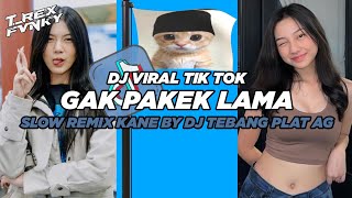 DJ GAK PAKEK LAMA VIRAL TIK TOK 2024 (Slowed & Reverb)