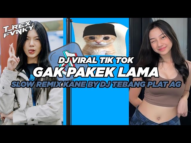 DJ GAK PAKEK LAMA VIRAL TIK TOK 2024 (Slowed & Reverb) class=