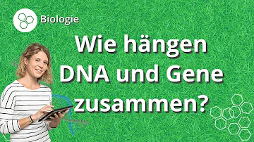 Was muss die DNA leisten können?