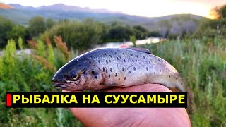 Рыбалка на Суусамыре 2021. Горная рыбалка. Fishing in Kyrgyzstan. Nature in Kyrgyzstan