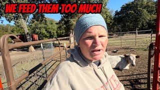 видео: Этот ветер нанес так много ущерба картинка: Этот ветер нанес так много ущерба