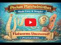 Phylum Platyhelminthes Made Easy Simple! Flatworms Uncovered! Practical Guide