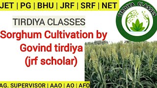 SORGHUM CROP PRODUCTION | CULTIVATION OF SORGHUM CROP | AGRICULTURE | AGRONOMY | TIRDIYA CLASSES