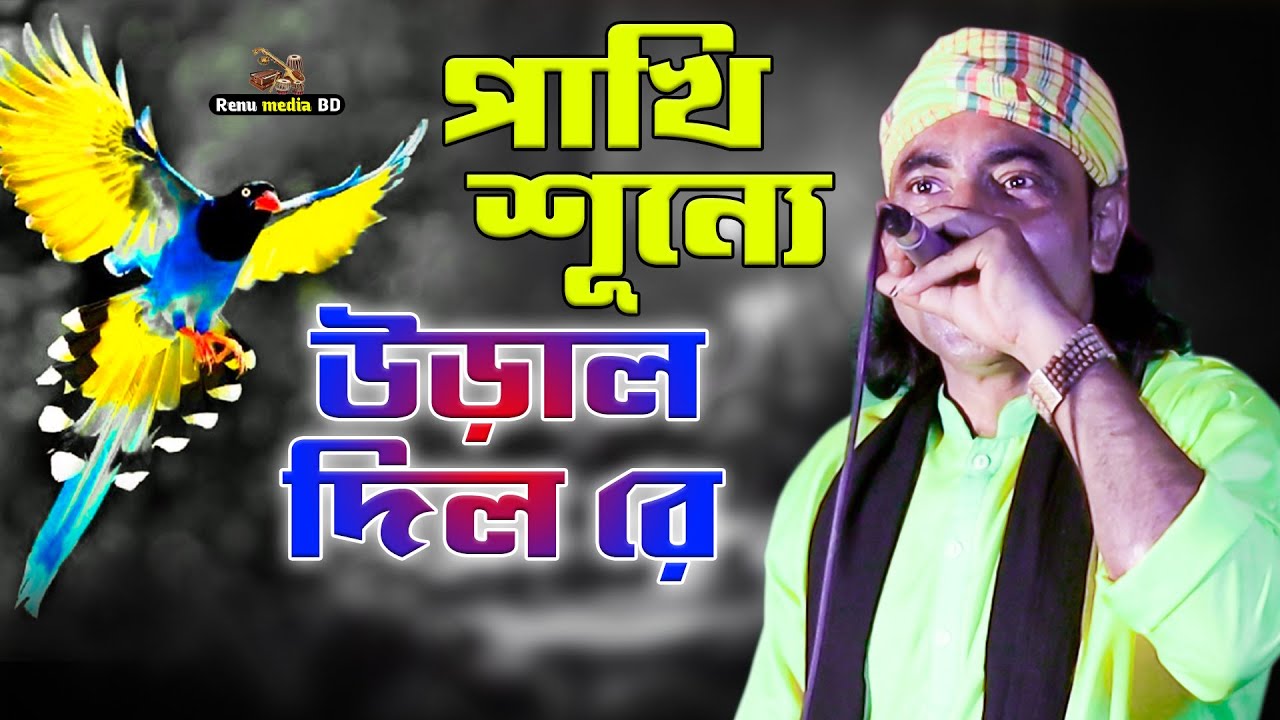 Mushukda mandarin bilan oynash Mushukda mandarin bilan oynash