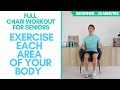 Full chair workout for seniors seated  35 minutes beginner  exercise every area of your body