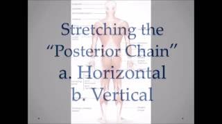 Stretching the Posterior Chain - Tight Hamstrings and Calves