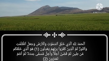 ايات من سورة الانعام بصوت القارئ عبد الحميد