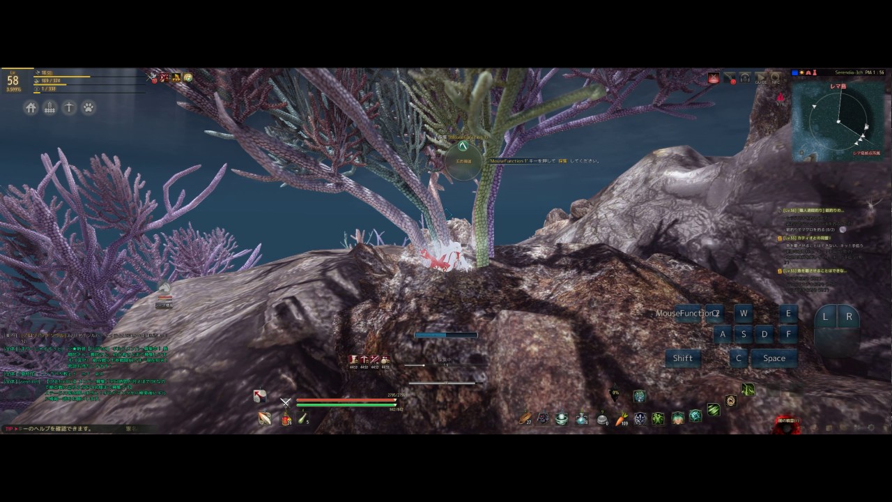 Blackdesert 珊瑚の欠片採り 2560 1080 Youtube Blackdesert 珊瑚の欠片採り 2560 1080 Youtube