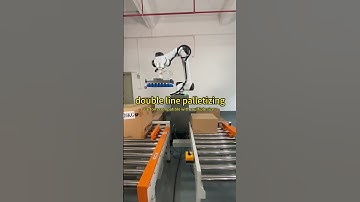 double line palletizing #robot #cobot #palletizer