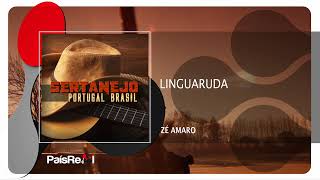 Video thumbnail of "Zé Amaro - Linguaruda"