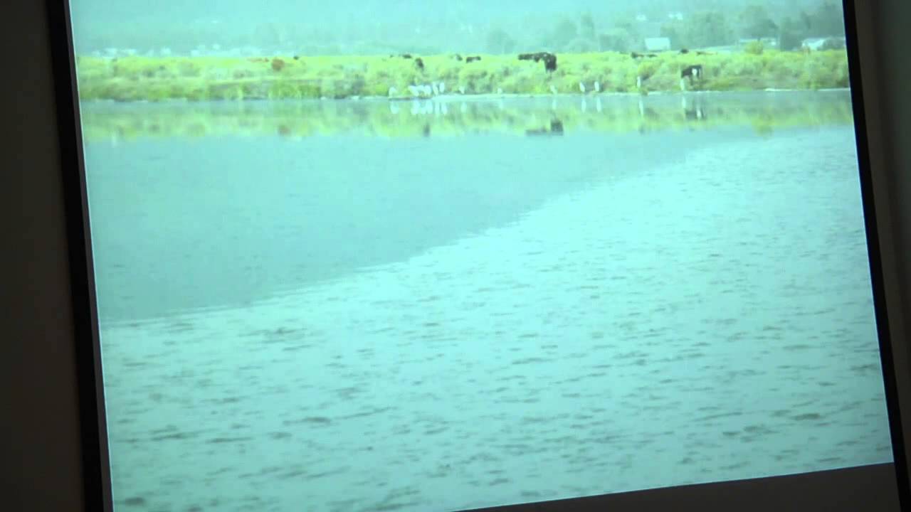 Peter Hirst - Synergistic Communities