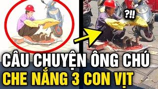 Clip Chú Lớn Tuổi Che Nắng Cho 3 Con Vịt Khiến Dân Mạng Tranh Luận Sôi Nổi Tin 3 Phút