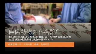 伴侶動物外科学　各論C　呼吸器外科２　喉頭麻痺と気胸の話がメイン