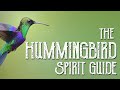 Hummingbird Spirit Guide - Ask the Spirit Guides Oracle Totem Animal - Power Animal Magical Crafting