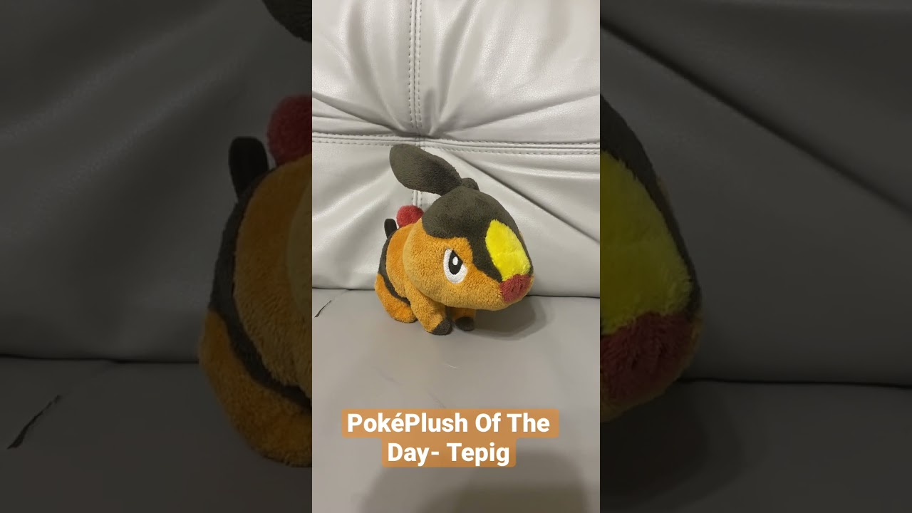 PokéPlush Of The Day- Jakks Pacific Tepig