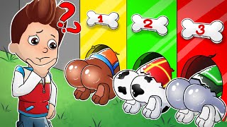 Paw Patrol The Mighty Movie | Ryder Will Be Choose The Number??? - Very Funny Story | Rainbow 3