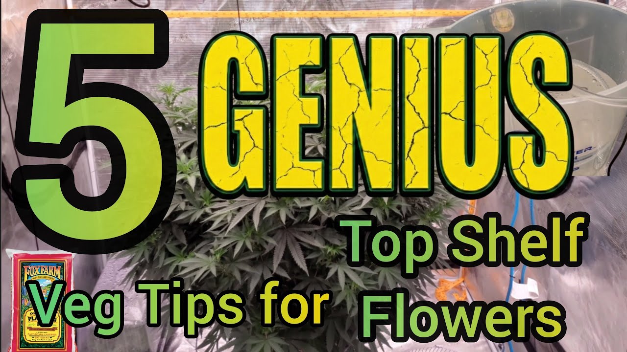 5 гениальных советов по выращиванию овощей для получения первоклассных цветов (2-4 недели и более)