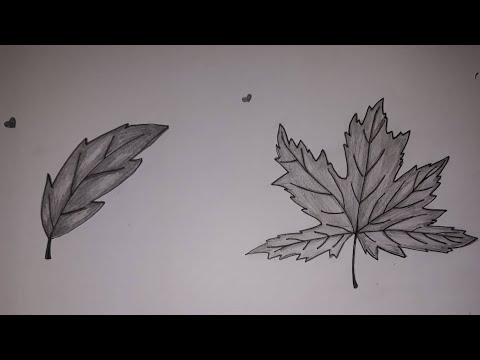 فيديو: كيفية رسم ورقة الخريف