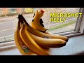 Your Jolt is Now a Banana | Microshot Peely from JustaJolt