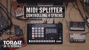 TORAIZ SP-16 Tutorials: MIDI Splitter Controlling 4 Synths