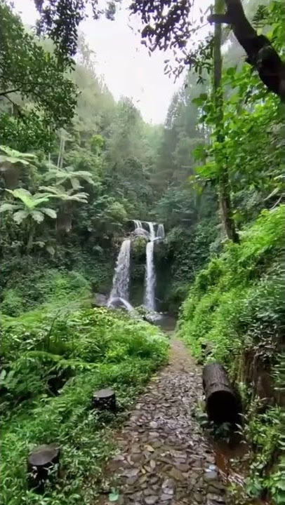 view air terjun |mentahan #short #support #success #successful