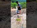 Tangkapan Misterius dari Aliran Sungai #fish #sungai #shorts