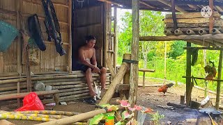 MASAK DAGING MUSANG ALA SUKU DAYAK!! survival Jungle Life, Primitive cooking