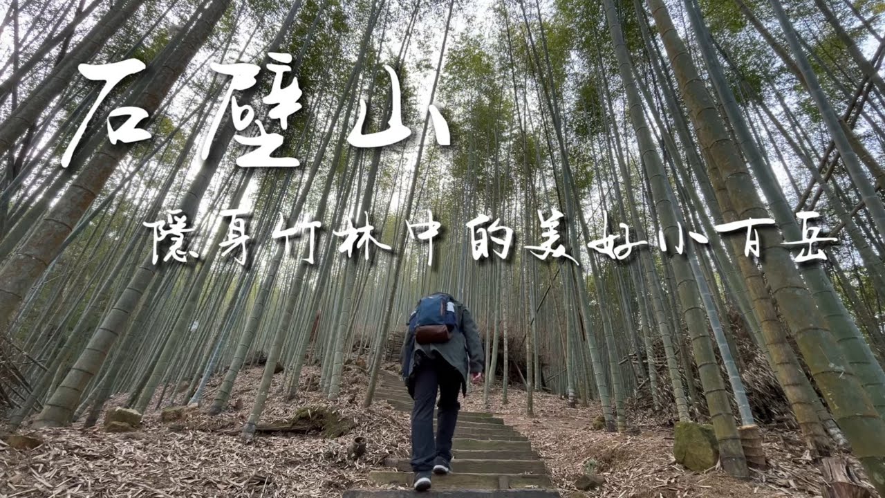 小百岳系列｜石壁山｜隱身竹林深處的美麗小百岳！櫻花盛開時節增添不少美景！