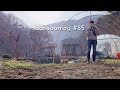 SUB 단순로그 85 겨울잠에서 깨어난 봄맞이 단순네 시골 브이로그 (Vlog)