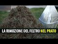 LA RIMOZIONE DEL FELTRO NEL PRATO