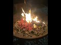 Winter night campfire