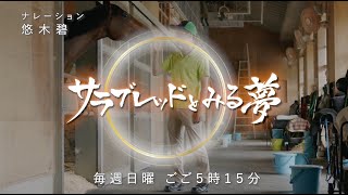 #サラブレッドとみる夢 毎週日曜ごご5時15分放送