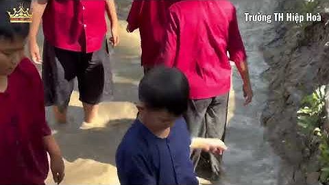 Trường TH Hiệp Hoà Tham Quan Học Tập Và Trải Nghiệm Tại Bến Tre (Tỉnh Vĩnh Long Mới)