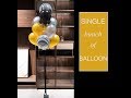 Qualatex Agate Gold Tone Bunch of Latex Balloon Picnic Best Companion