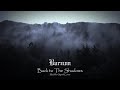 Burzum - Back to the Shadows | Modular Synthesizer Cover