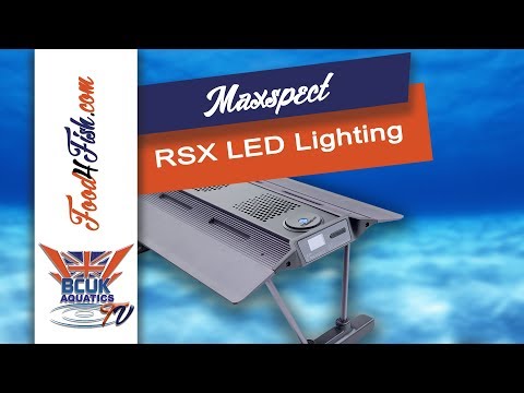 Maxspect RSX LED Aquarium Lighting & Syna-G app