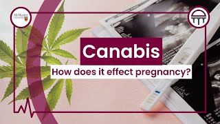 What Effect Does Cannabis Use Have During Pregnancy?