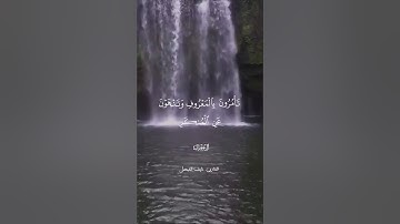 🌼 القارئ  نايف الفيصل  " كنتم خير أمة أخرجت للناس " تلاوة هادئة شجية راحة تغمر القلوب🌿🧡.