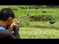 BERBURU NYANGGONG BURUNG SAWAH‼️WOW YANG DATANG JUMBO SEMUA😘